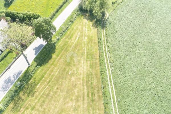 Terrain en vente à Asselborn