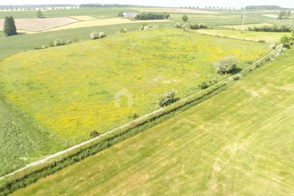 Terrain en vente à Asselborn