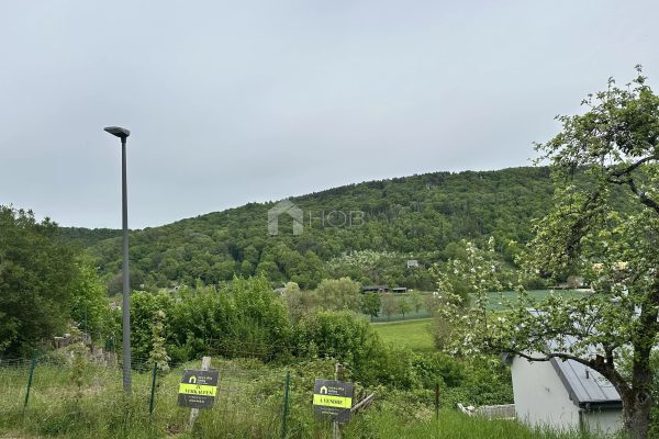 Terrain en vente à Echternach