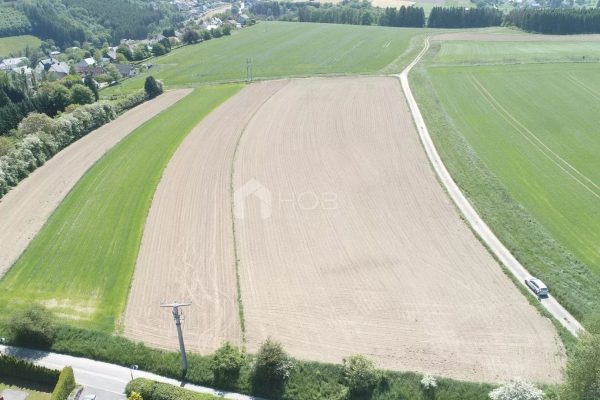 Terrain en vente à Troisvierges