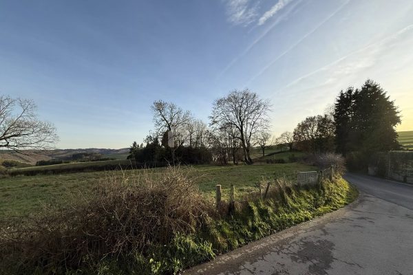 Terrain en vente à Lieler