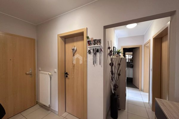 Wohnung zu verkaufen in Weiswampach