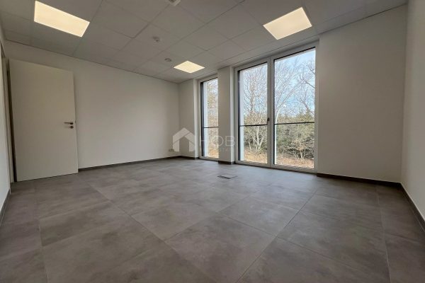 Bureau en vente à Wemperhardt