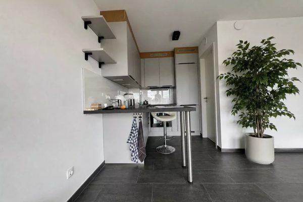 Appartement en location à Binsfeld
