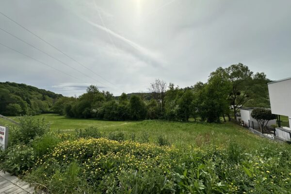 Terrain en vente à Reisdorf