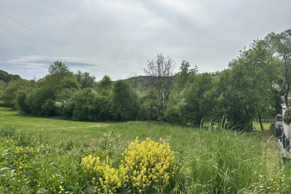 Grundstück zu verkaufen in Reisdorf